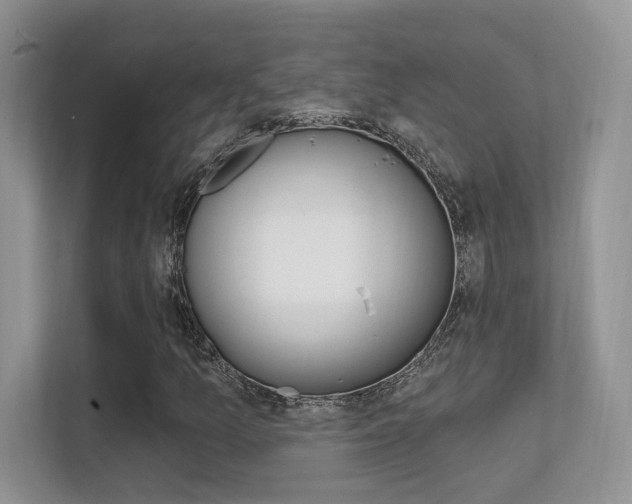 X0000112351157200908131008