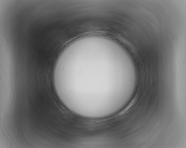 X0000112351161200908131008