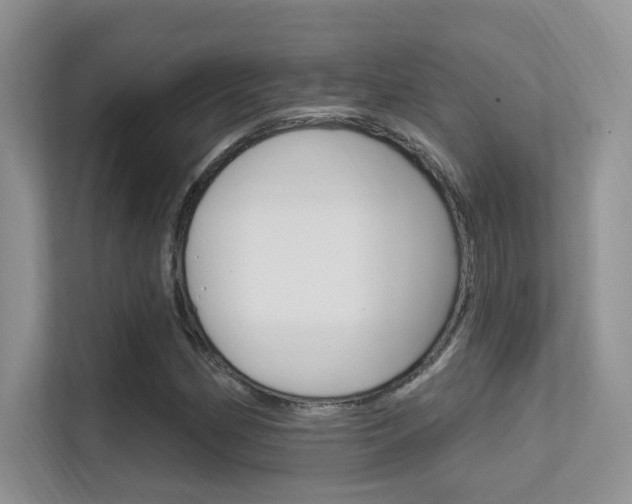 X0000112351162200908131008