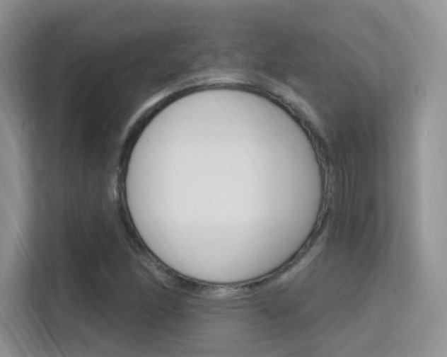 X0000112351166200908131008