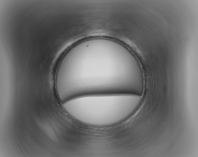 X0000112351167200908131008