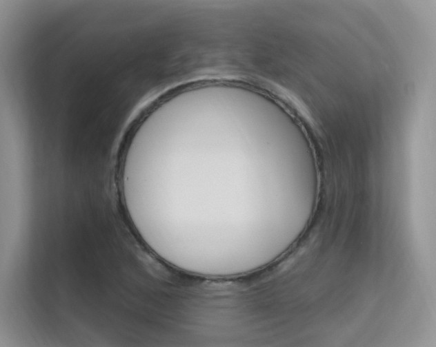 X0000112351168200908131008