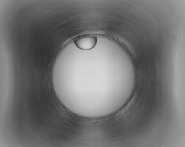 X0000112351169200908131008