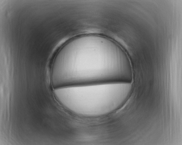X0000112351171200908131008