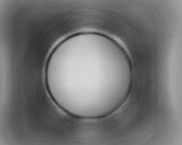 X0000112351183200908131008