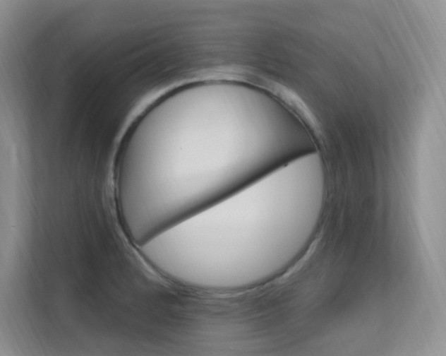 X0000112351184200908131008