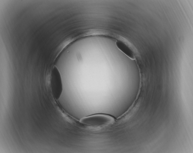 X0000112351185200908131008
