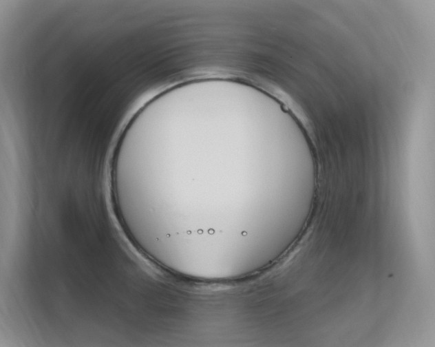 X0000112351187200908131008