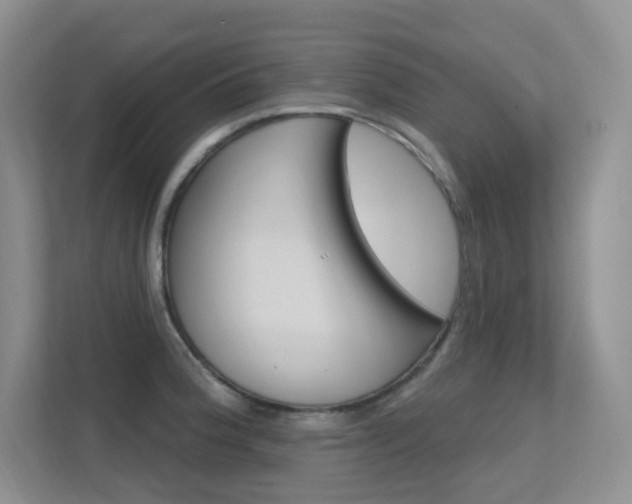 X0000112351188200908131008