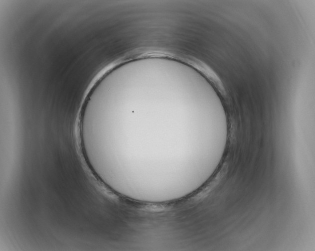 X0000112351190200908131008