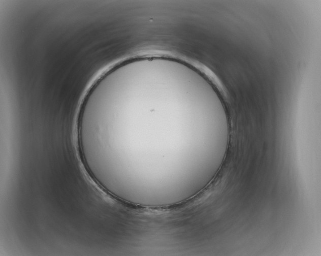 X0000112351191200908131008