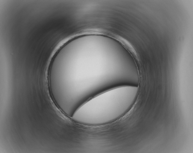 X0000112351192200908131008