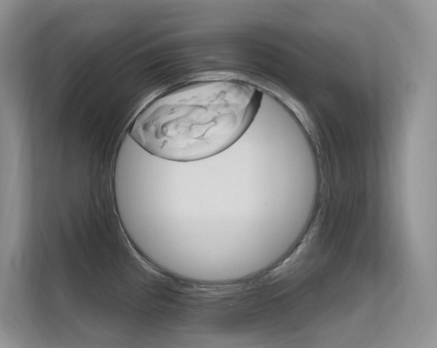 X0000112351193200908131008