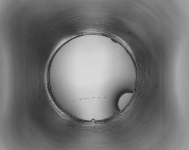 X0000112351195200908131008