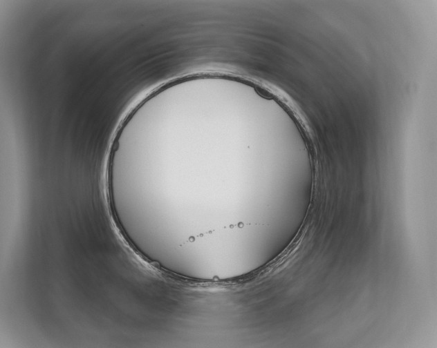 X0000112351199200908131008
