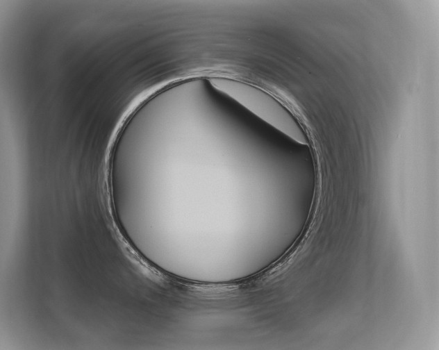 X0000112351200200908131008