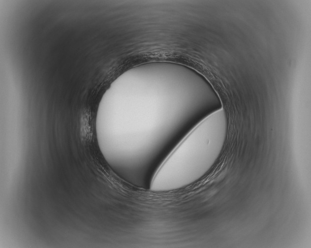 X0000112351202200908131007