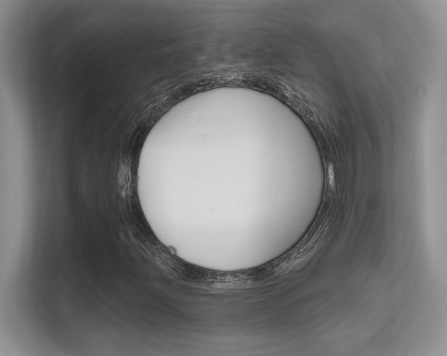 X0000112351203200908131007