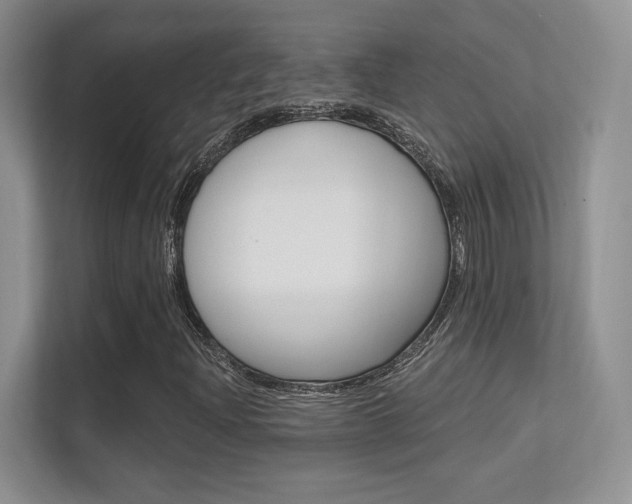 X0000112351204200908131007