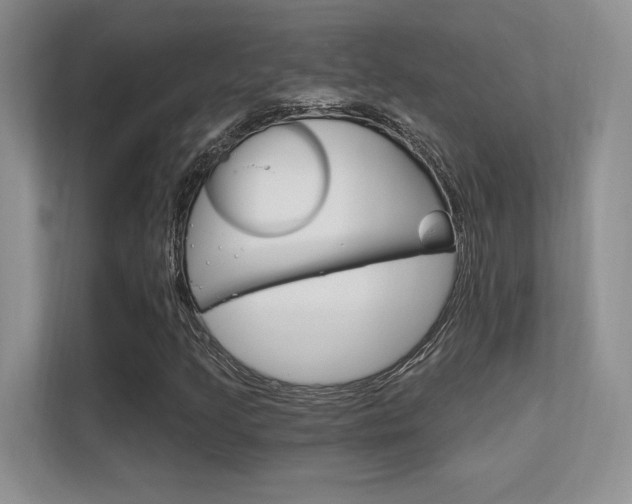 X0000112351205200908131007