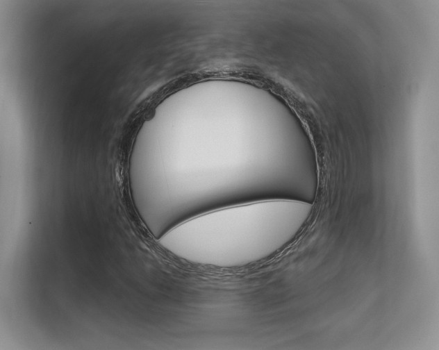 X0000112351206200908131007