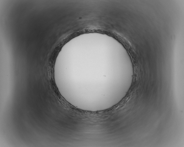 X0000112351207200908131007