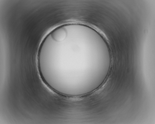 X0000112351239200908131008