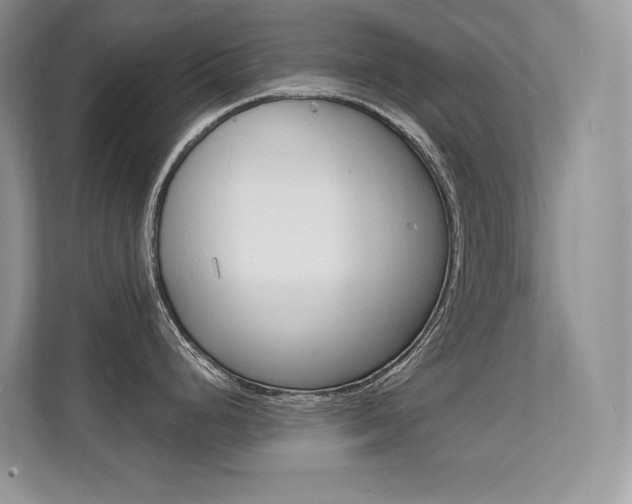 X0000112351248200908131008