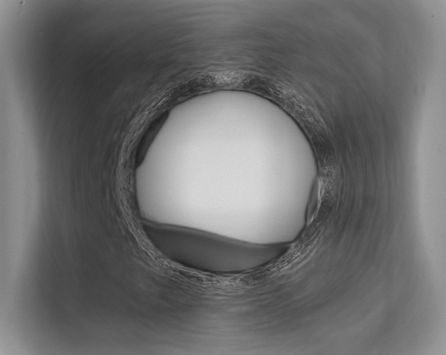 X0000112351249200908131007