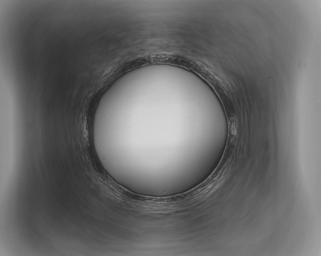 X0000112351252200908131007