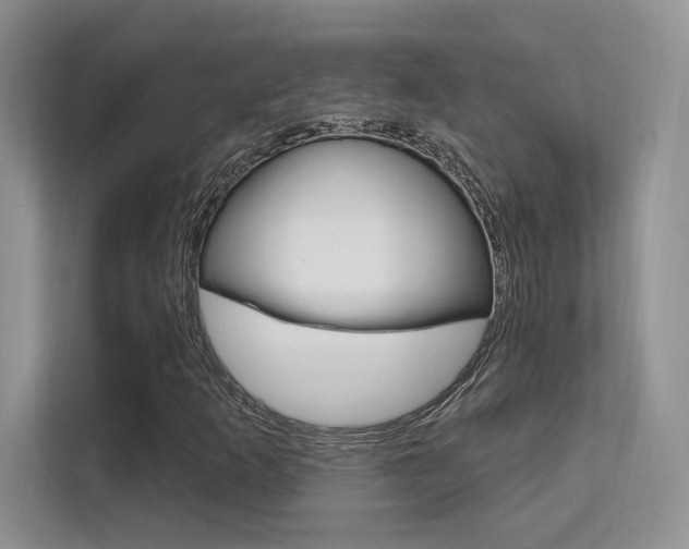 X0000112351253200908131007