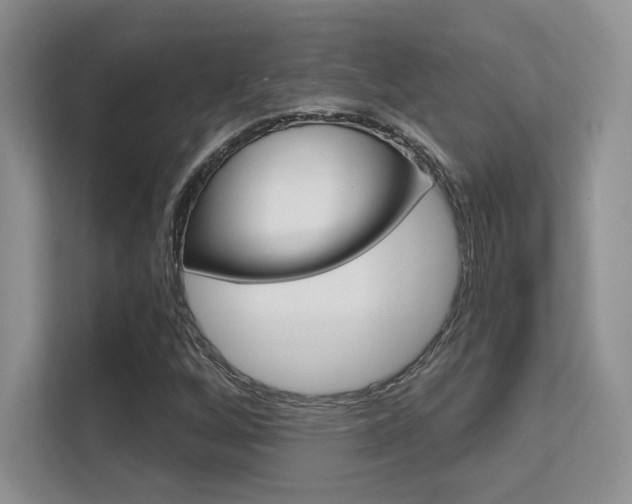 X0000112351256200908131007