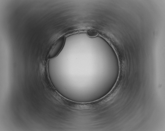 X0000112351257200908131007