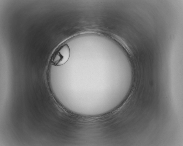 X0000112351260200908131007