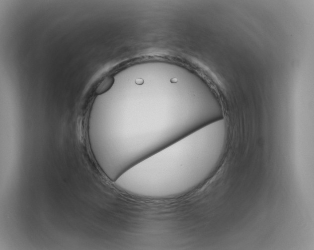 X0000112351262200908131007
