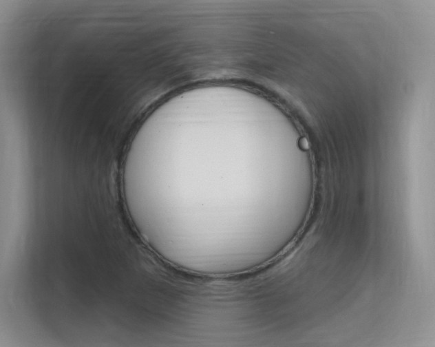 X0000112351265200908131007