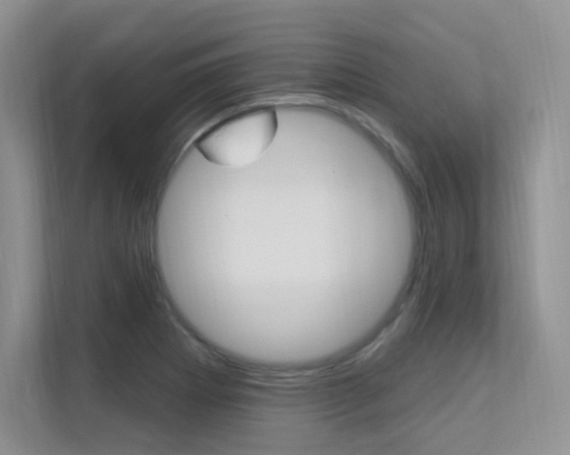 X0000112351273200908131007
