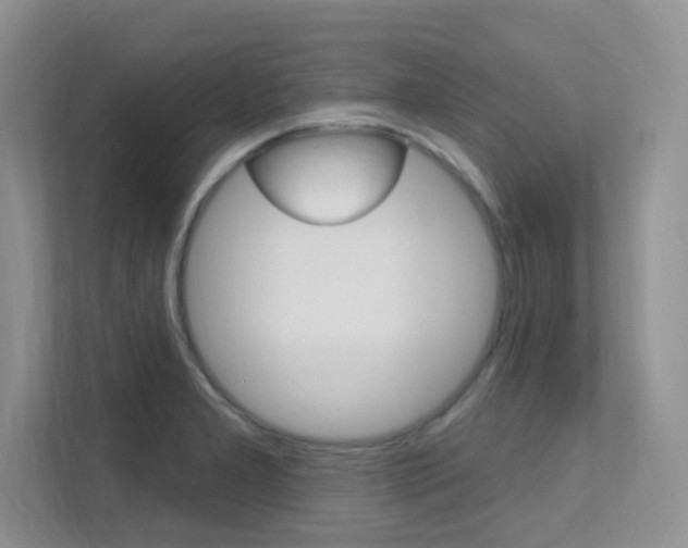 X0000112351277200908131007
