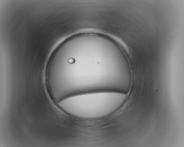 X0000112351279200908131007