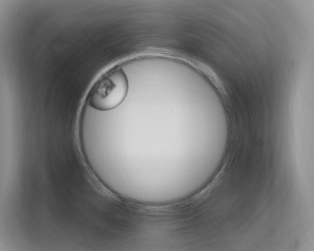 X0000112351280200908131007