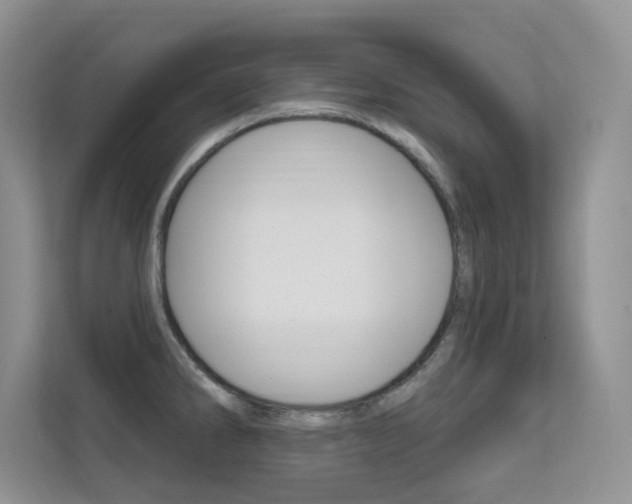 X0000112351286200908131007