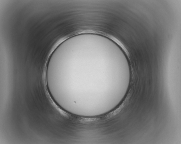 X0000112351290200908131007