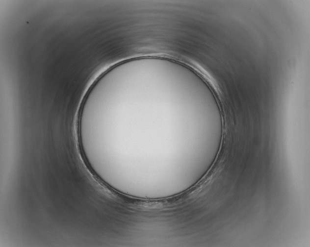 X0000112351291200908131007