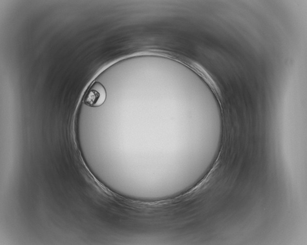X0000112351292200908131007