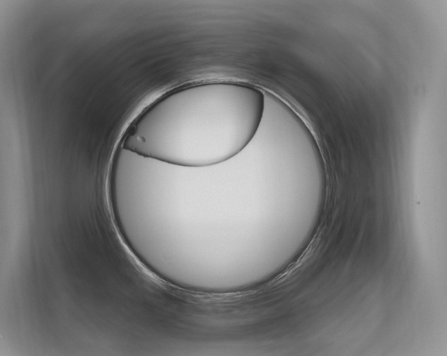 X0000112351293200908131007