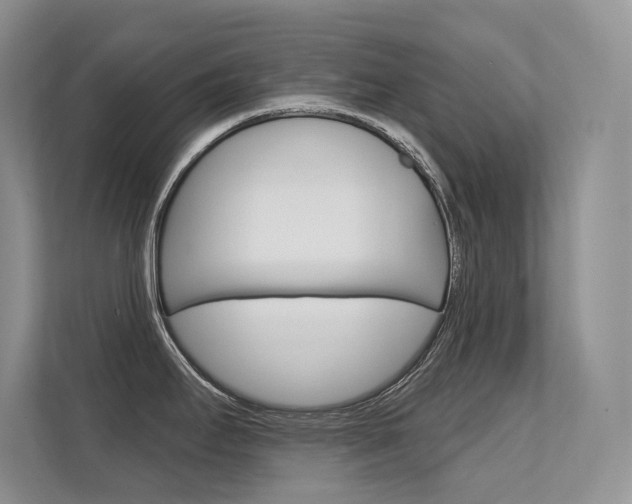 X0000112351295200908131007