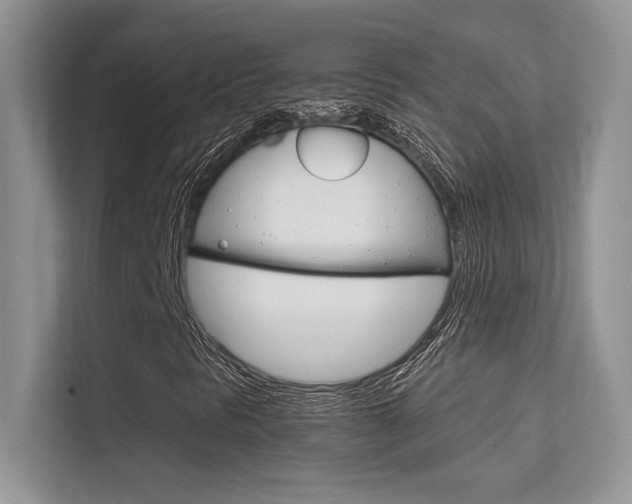 X0000112351297200908131006