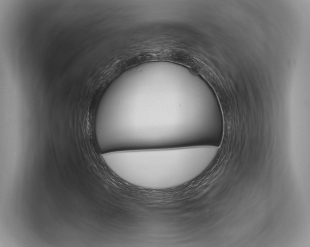 X0000112351298200908131006