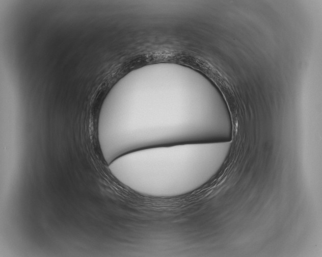X0000112351299200908131006