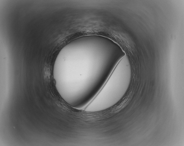 X0000112351300200908131006